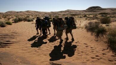 how much is bluefire wilderness