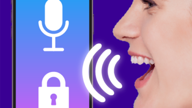 Voice Lock