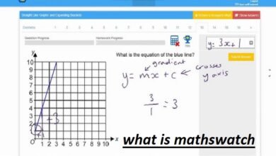 what is mathswatch