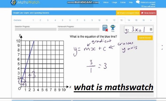 what is mathswatch