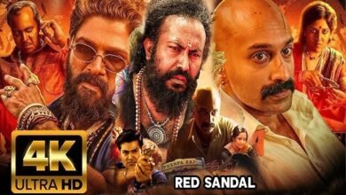 bollyshare movie download 2024