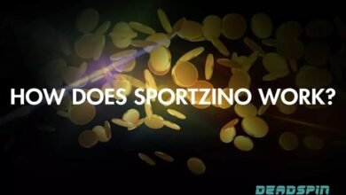 sportzino app