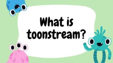 toonstream video downloader