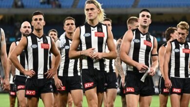 afl live scores 2024 today