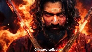 chhaava collection