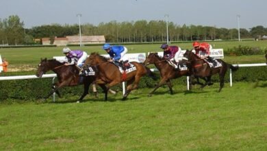 pmumalin couple gagnant placé